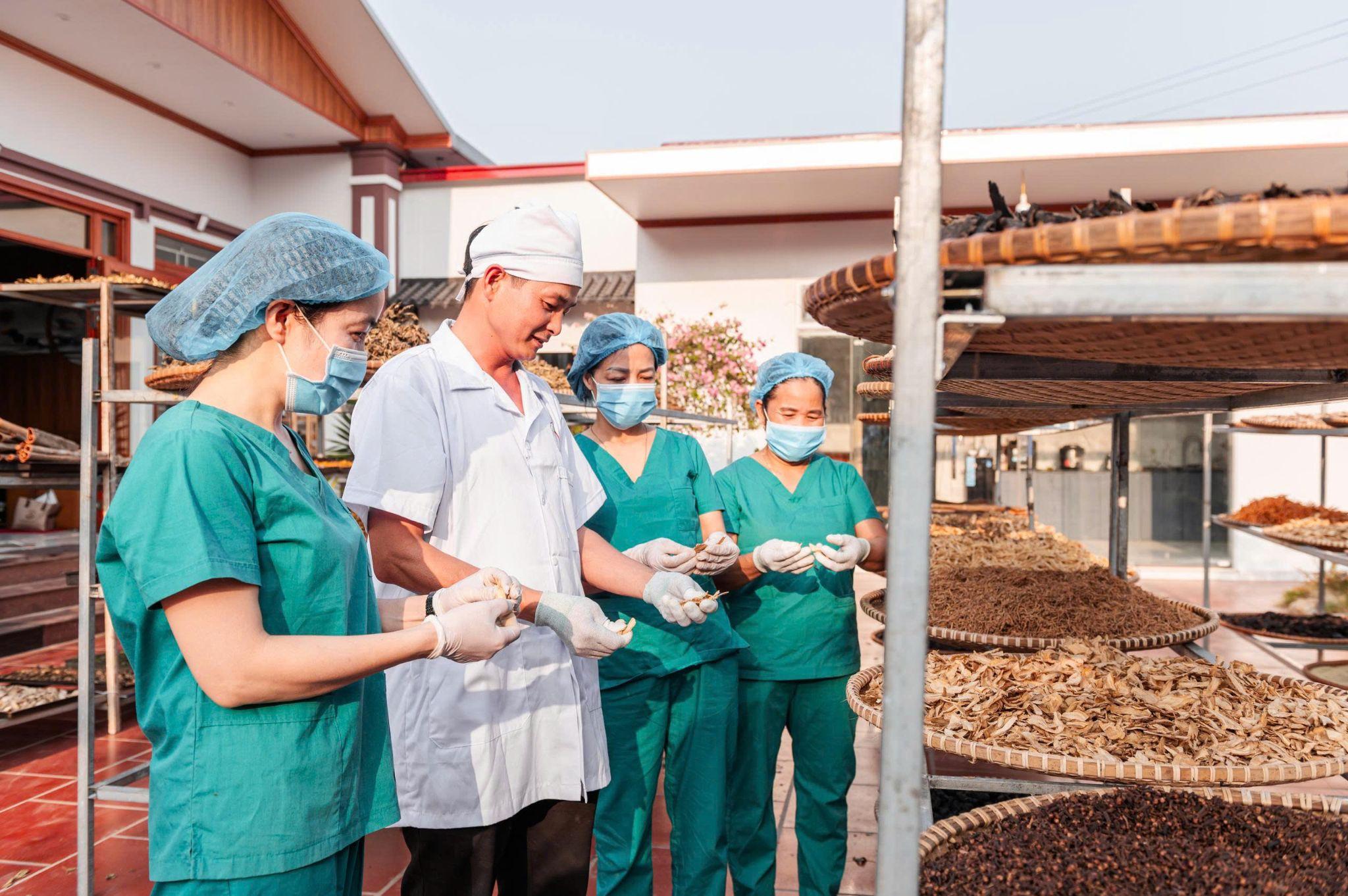 Kiểm soát và sơ chế dược liệu tại nhà máy