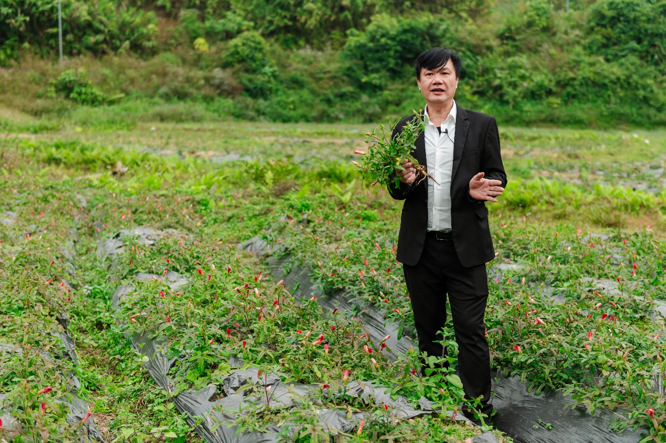 Hợp tác với Viện Quân Dân Y
