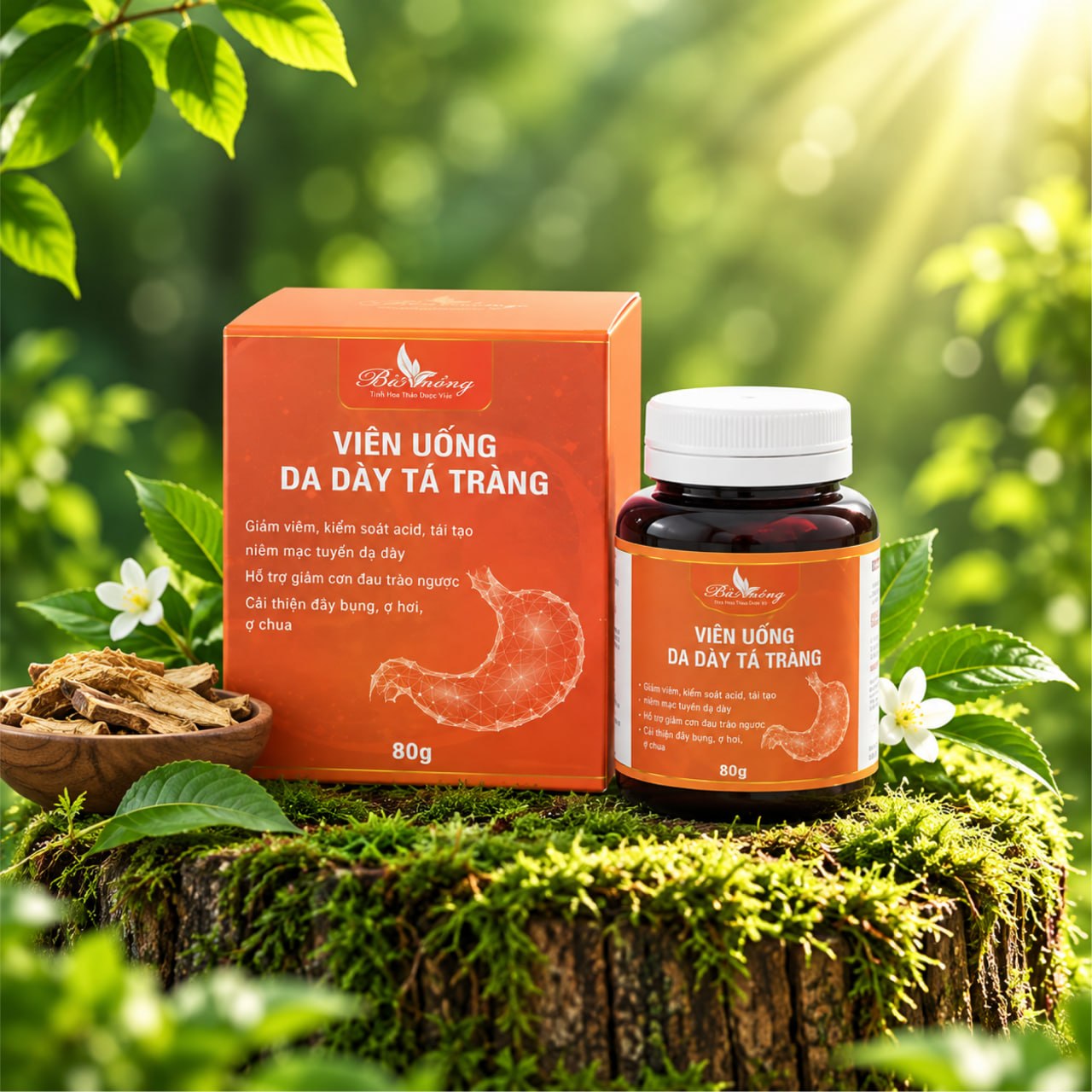 Viên uống Dạ Dày Tá Tràng