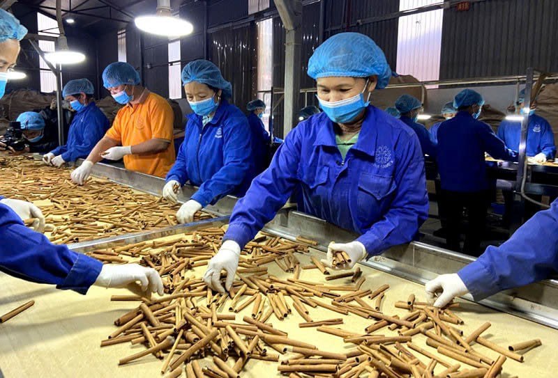 Sản xuất hóa dược và dược liệu